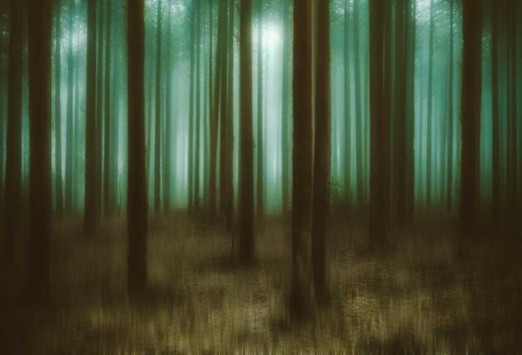 omid-armin-hsTffDXJAqU-unsplash